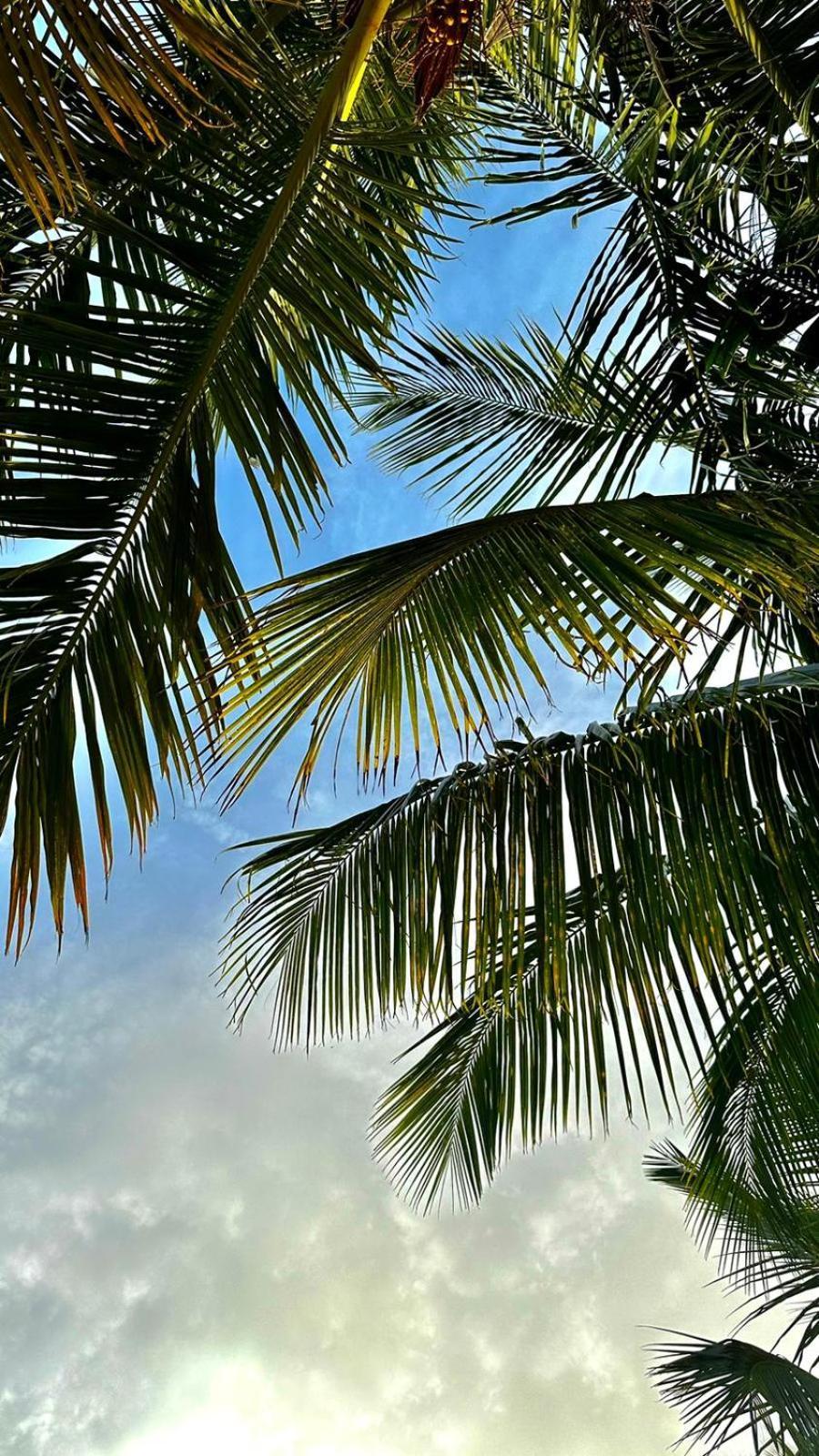 Your Zanzibar Place Паже Екстериор снимка