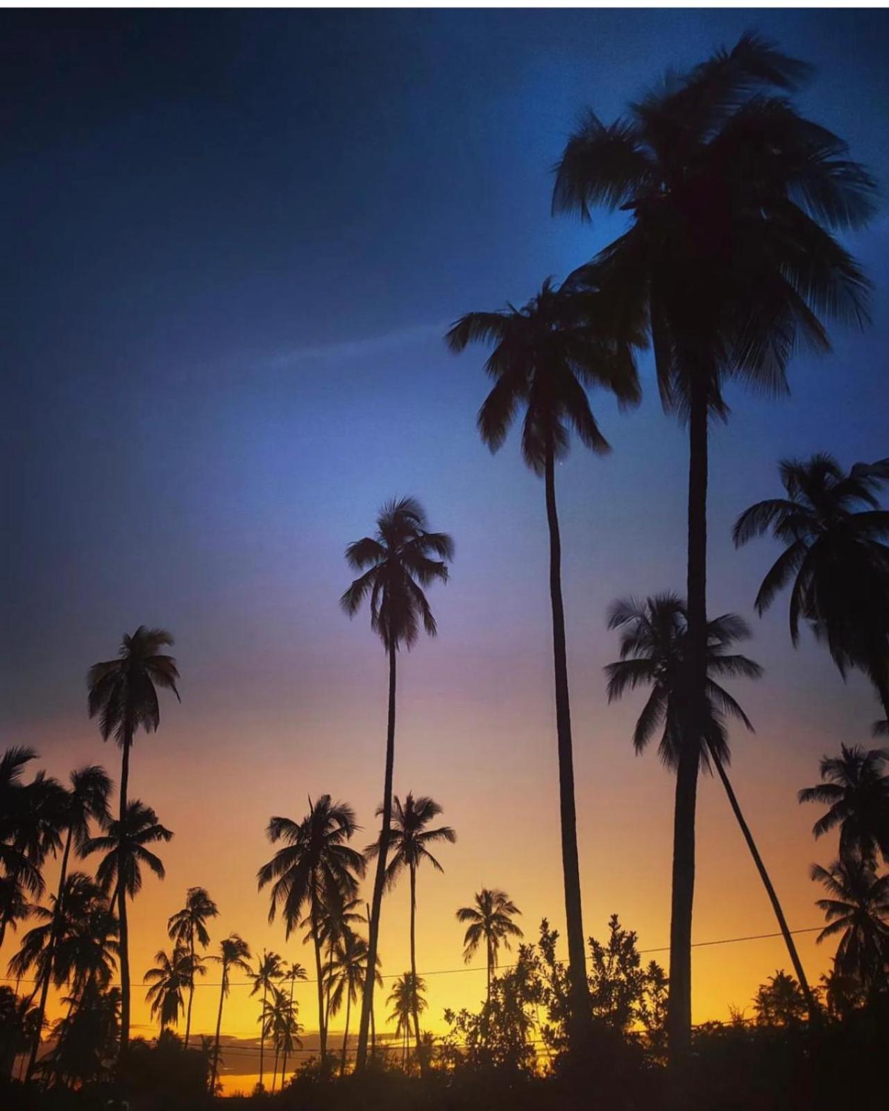Your Zanzibar Place Паже Екстериор снимка