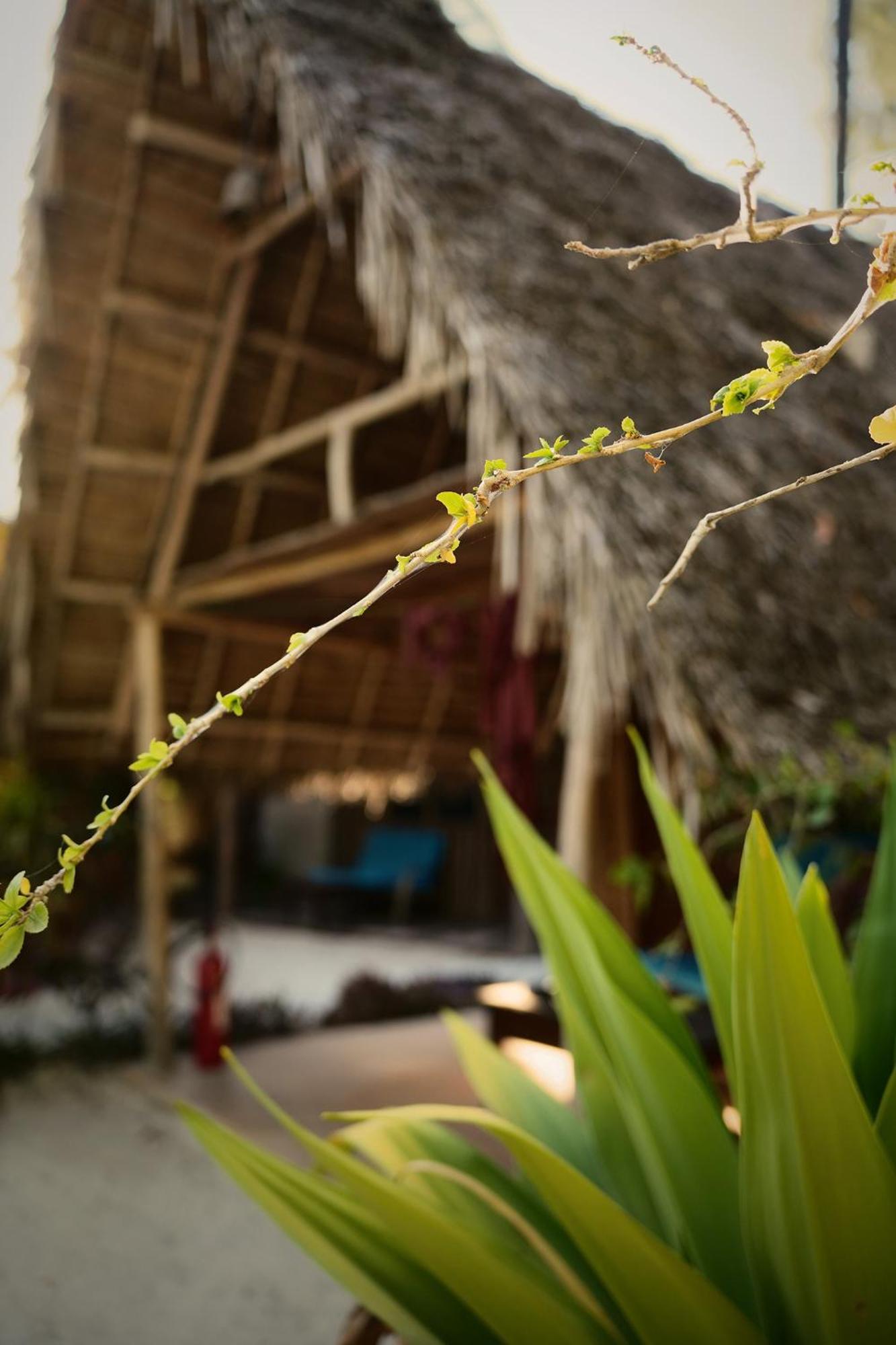 Your Zanzibar Place Паже Екстериор снимка
